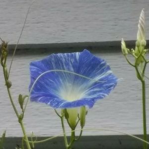 Meet your Posher, Tabitha